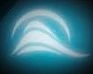 Oasis Pool & Home Services logo